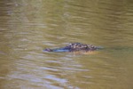 resIMG_20180420_103902_9588.JPG